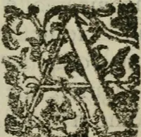 An illustration from Le bellezze della città di Firenze, dove a pieno di pittura, di scultura, di sacri templi, di palazzi, i più notabili artifizj, e più preziosi si contengono (1677)