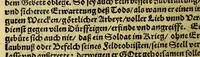 An illustration from Leben, Francisci Borgiæ, dritten Generals der Societet Jesu. (1613)