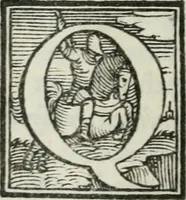 Picture 5 of 10 from Le bizzarre, faconde, et ingeniose rime pescatorie. Nelle quali si contengono sonetti, stäze, capitoli, madrigali, epitafij, disperate, e canzoni. Et il commento di due sonetti del Petrarcha, in antiqua materna lingua (1557), leaf 33
