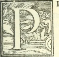 An illustration from Le bizzarre, faconde, et ingeniose rime pescatorie. Nelle quali si contengono sonetti, stäze, capitoli, madrigali, epitafij, disperate, e canzoni. Et il commento di due sonetti del Petrarcha, in antiqua materna lingua (1557)