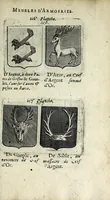 Picture 25 of 46 from Le blason de France, ou, Notes curieuses sur l'edit concernant la police des armoiries (1697), leaf 319
