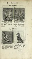 An illustration from Le blason de France, ou, Notes curieuses sur l'edit concernant la police des armoiries (1697)