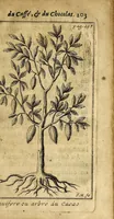 Picture 18 of 24 from Le bon usage du thé, du caffé et du chocolat pour la preservation & pour la guerison des maladies. (1687), leaf 221