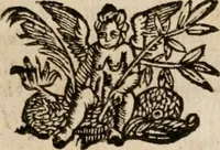 Picture 45 of 150 from Le bravvre del capitano Spavento, divise in molti ragionamenti in forma di dialogo (1618), leaf 106