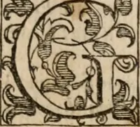 Picture 48 of 150 from Le bravvre del capitano Spavento, divise in molti ragionamenti in forma di dialogo (1618), leaf 110
