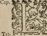 Picture 63 of 150 from Le bravvre del capitano Spavento, divise in molti ragionamenti in forma di dialogo (1618), leaf 155