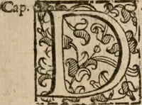 Picture 78 of 150 from Le bravvre del capitano Spavento, divise in molti ragionamenti in forma di dialogo (1618), leaf 192