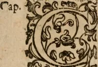 Picture 80 of 150 from Le bravvre del capitano Spavento, divise in molti ragionamenti in forma di dialogo (1618), leaf 196