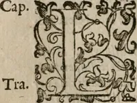 Picture 86 of 150 from Le bravvre del capitano Spavento, divise in molti ragionamenti in forma di dialogo (1618), leaf 215