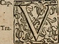 Picture 91 of 150 from Le bravvre del capitano Spavento, divise in molti ragionamenti in forma di dialogo (1618), leaf 239
