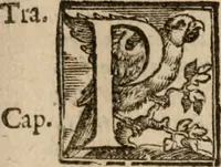 Picture 94 of 150 from Le bravvre del capitano Spavento, divise in molti ragionamenti in forma di dialogo (1618), leaf 248