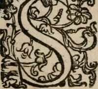 Picture 97 of 150 from Le bravvre del capitano Spavento, divise in molti ragionamenti in forma di dialogo (1618), leaf 257