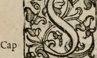 Picture 99 of 150 from Le bravvre del capitano Spavento, divise in molti ragionamenti in forma di dialogo (1618), leaf 261