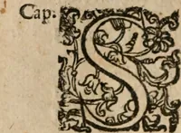 Picture 103 of 150 from Le bravvre del capitano Spavento, divise in molti ragionamenti in forma di dialogo (1618), leaf 273