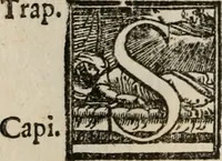 Picture 115 of 150 from Le bravvre del capitano Spavento, divise in molti ragionamenti in forma di dialogo (1618), leaf 301