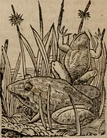 Picture 13 of 150 from Le bravvre del capitano Spavento, divise in molti ragionamenti in forma di dialogo (1618), leaf 31