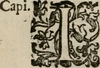 Picture 125 of 150 from Le bravvre del capitano Spavento, divise in molti ragionamenti in forma di dialogo (1618), leaf 347