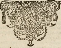 Picture 133 of 150 from Le bravvre del capitano Spavento, divise in molti ragionamenti in forma di dialogo (1618), leaf 384