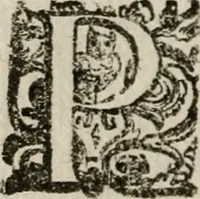 Picture 140 of 150 from Le bravvre del capitano Spavento, divise in molti ragionamenti in forma di dialogo (1618), leaf 405