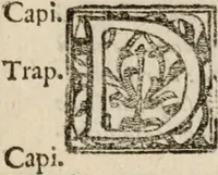 Picture 142 of 150 from Le bravvre del capitano Spavento, divise in molti ragionamenti in forma di dialogo (1618), leaf 416