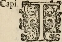 Picture 145 of 150 from Le bravvre del capitano Spavento, divise in molti ragionamenti in forma di dialogo (1618), leaf 426