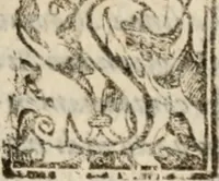 Picture 148 of 150 from Le bravvre del capitano Spavento, divise in molti ragionamenti in forma di dialogo (1618), leaf 436
