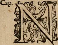 Picture 20 of 150 from Le bravvre del capitano Spavento, divise in molti ragionamenti in forma di dialogo (1618), leaf 48