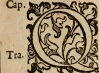 Picture 22 of 150 from Le bravvre del capitano Spavento, divise in molti ragionamenti in forma di dialogo (1618), leaf 52