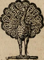 Picture 23 of 150 from Le bravvre del capitano Spavento, divise in molti ragionamenti in forma di dialogo (1618), leaf 55