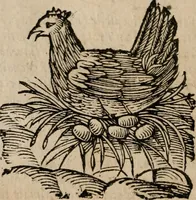 Picture 25 of 150 from Le bravvre del capitano Spavento, divise in molti ragionamenti in forma di dialogo (1618), leaf 59