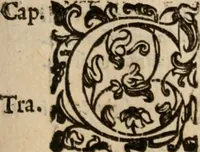Picture 38 of 150 from Le bravvre del capitano Spavento, divise in molti ragionamenti in forma di dialogo (1618), leaf 88