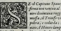 Picture 17 of 38 from Le bravvre del Capitano Spauento : divise in molti ragionamenti in forma di dialogo (1607), leaf 195