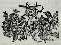An illustration from Le bravvre del Capitano Spauento : divise in molti ragionamenti in forma di dialogo (1607)