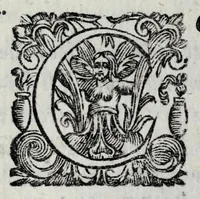 An illustration from Le bravvre del Capitano Spauento : divise in molti ragionamenti in forma di dialogo (1607)