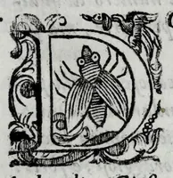 Picture 23 of 38 from Le bravvre del Capitano Spauento : divise in molti ragionamenti in forma di dialogo (1607), leaf 249
