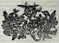Picture 38 of 38 from Le bravvre del Capitano Spauento : divise in molti ragionamenti in forma di dialogo (1607), leaf 452