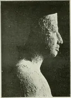 Picture 90 of 128 from Le Caire, le Nil et Memphis (1906), leaf 121