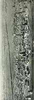 Picture 16 of 128 from Le Caire, le Nil et Memphis (1906), leaf 28