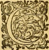 An illustration from Le camp de la place royalle, ov Relation de ce qvi s'y est passé les cinquiesme, sixiesme, & septiesme iour d'auril, mil six cens douze, pour la publication des mariages du Roy, & de Madame, auec l'lnfante, & le Prince d'Espagne .. (1612)