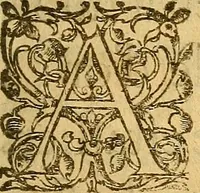 An illustration from Le camp de la place royalle, ov Relation de ce qvi s'y est passé les cinquiesme, sixiesme, & septiesme iour d'auril, mil six cens douze, pour la publication des mariages du Roy, & de Madame, auec l'lnfante, & le Prince d'Espagne .. (1612)