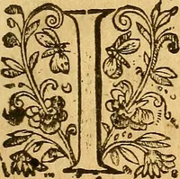 An illustration from Le camp de la place royalle, ov Relation de ce qvi s'y est passé les cinquiesme, sixiesme, & septiesme iour d'auril, mil six cens douze, pour la publication des mariages du Roy, & de Madame, auec l'lnfante, & le Prince d'Espagne .. (1612)