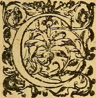 An illustration from Le camp de la place royalle, ov Relation de ce qvi s'y est passé les cinquiesme, sixiesme, & septiesme iour d'auril, mil six cens douze, pour la publication des mariages du Roy, & de Madame, auec l'lnfante, & le Prince d'Espagne .. (1612)