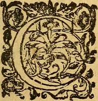 An illustration from Le camp de la place royalle, ov Relation de ce qvi s'y est passé les cinquiesme, sixiesme, & septiesme iour d'auril, mil six cens douze, pour la publication des mariages du Roy, & de Madame, auec l'lnfante, & le Prince d'Espagne .. (1612)