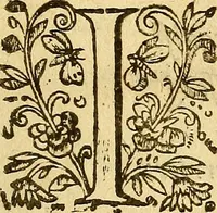 An illustration from Le camp de la place royalle, ov Relation de ce qvi s'y est passé les cinquiesme, sixiesme, & septiesme iour d'auril, mil six cens douze, pour la publication des mariages du Roy, & de Madame, auec l'lnfante, & le Prince d'Espagne .. (1612)