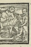 Picture 17 of 68 from Le cento novelle da messer Vincenzo Brugiantino, dette in ottava rima (1554), leaf 133
