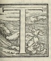 An illustration from Le cento novelle da messer Vincenzo Brugiantino, dette in ottava rima (1554)
