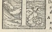 Picture 30 of 68 from Le cento novelle da messer Vincenzo Brugiantino, dette in ottava rima (1554), leaf 270