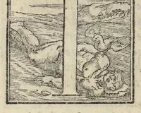 Picture 36 of 68 from Le cento novelle da messer Vincenzo Brugiantino, dette in ottava rima (1554), leaf 316