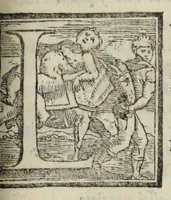 Picture 49 of 68 from Le cento novelle da messer Vincenzo Brugiantino, dette in ottava rima (1554), leaf 395