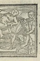 Picture 55 of 68 from Le cento novelle da messer Vincenzo Brugiantino, dette in ottava rima (1554), leaf 455